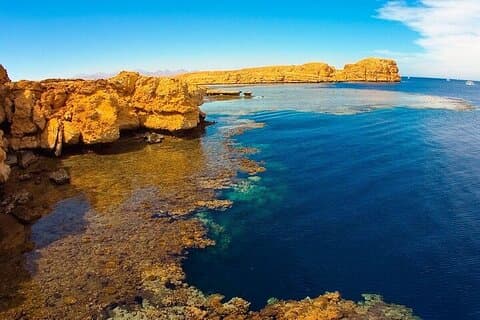 Busstur til Ras Mohammed nasjonalpark – Sharm El Sheikh