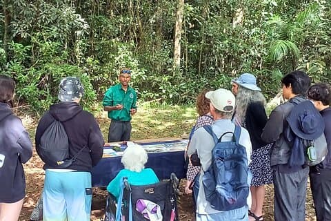 3 - Tour privato della cultura aborigena Atherton Tablelands