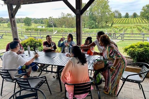 3 VA Wineries Day Trip with Optional Tasting-Inclusive Upgrade