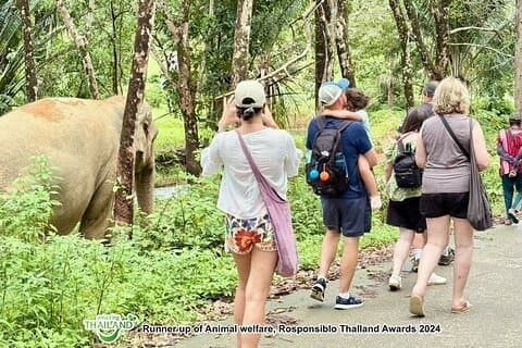 Khao Lak Ethical Elephant Sanctuary & Zipline Adventure