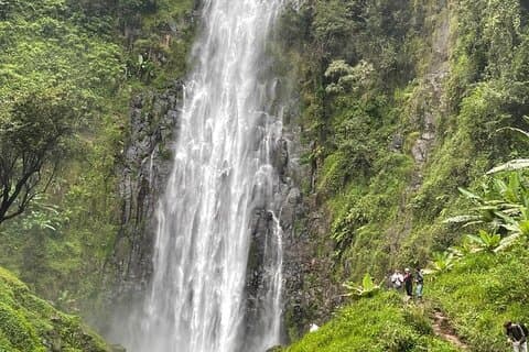 Materuni Waterfalls Coffee Tour and Kikuletwa Hot Springs.