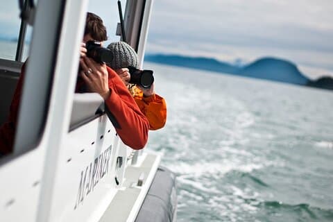 Whales and Wilderness Exploration