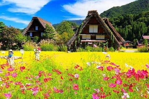 Shirakawa-go, día de Hida Takayama y excursión al casco antiguo desde Nagoya