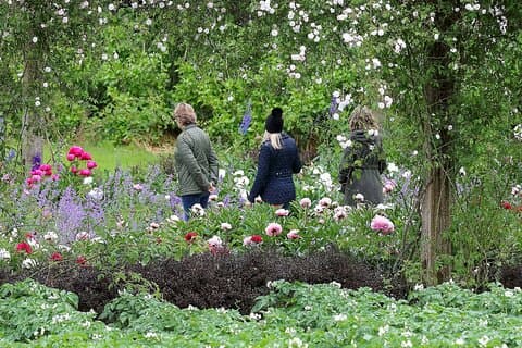 Guidade torsdagsturer i Mount Congreve Gardens
