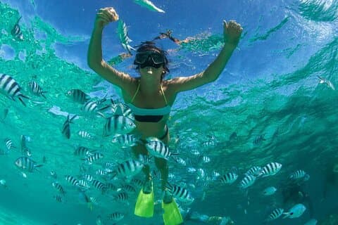 4 horas de snorkel Anse Cochon y Anse Mamin, así como Sugar Beach