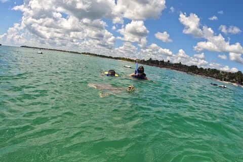 Akumal; Mergulho com as tartarugas marinhas