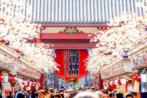 Excursion privée d'une journée à Tokyo avec prise en charge à l'hôtel