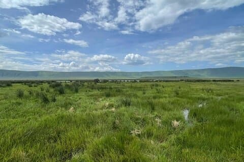 Dagtrip naar Ngorongoro Kratertuin van Eden