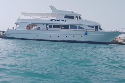 VIP privé boottocht naar Dolphin House of Paradise of Orange Bay