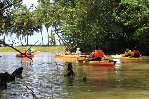 Kayak Adventure on the Roseau River in St Lucia