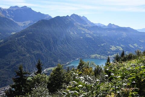 Basel to Zürich Scenic Private Transfer with Alpine Stops 1–4 pax
