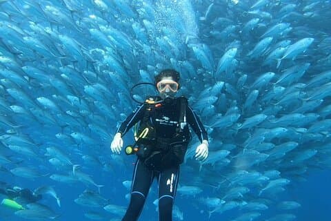 Espiritu Santo Tour privato SCUBA per principianti