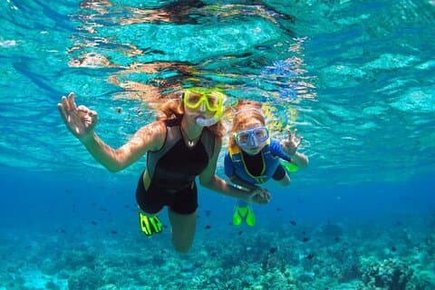 Saona Paradise Island: Katamaran, naturlig pool och typisk lunch