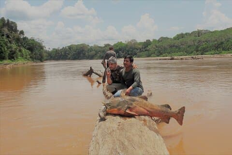 Manu Reserve Zone Tour + Jaguar and Macaw clay lick 5days