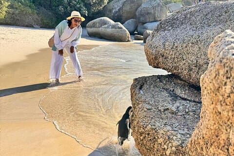 Encontro de meio dia de aventura com pinguins em Boulders Beach
