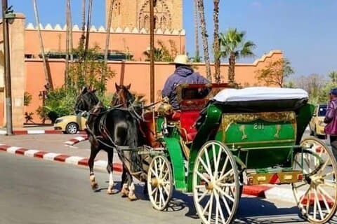 Marrakech! 1 times traditionel hestevognstur
