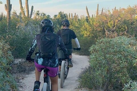 Begeleide cactusbos mountainbike-ervaring in La Ventana