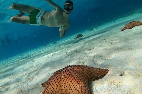 Discover El Cielo and Cozumel Snorkeling Adventure