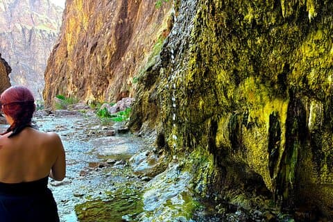 Goldstrike Hot Springs et randonnée en cascade chauffée à 124 degrés Magma