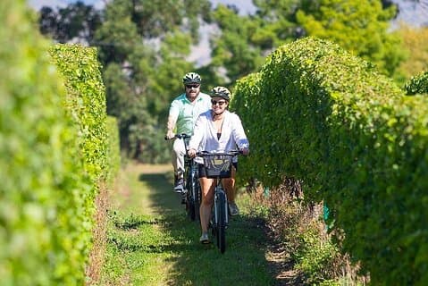 ロレルとグレッグと一緒に自転車でワインを巡るセルフガイドツアー