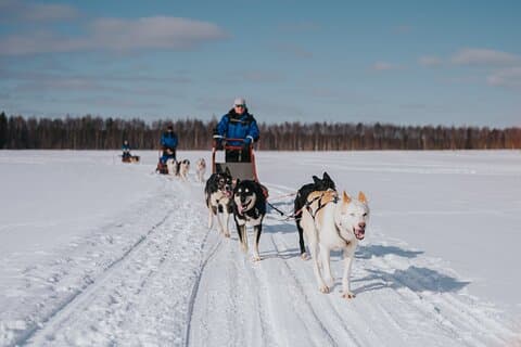 Trail of Tails Treten Sie ein in das Mushing Leben in 5KM Husky Safari