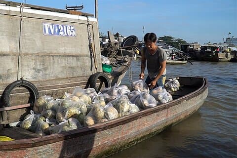 2 - Day Mekong Escape : Life on the Waterways