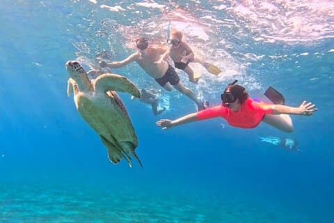 Abu Dabbab Turtle Watching & Snorkeling Adventure vanuit Hurghada