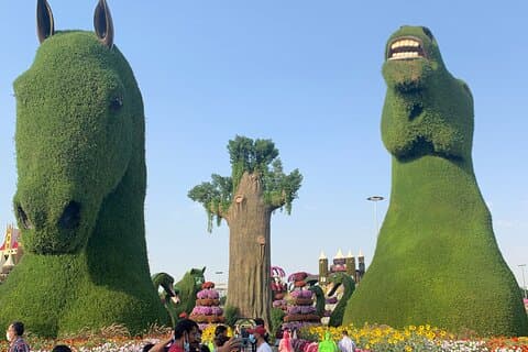 フジャイラからの送迎付きミラクルガーデングローバルビレッジ
