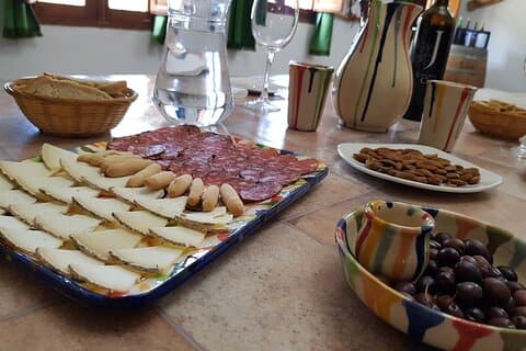 Almería Wine tour, tasting in Bio Winery and aperitif in Spanish