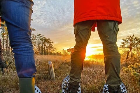 Från Riga: Bog-Shoe Walk i Lettlands vilda natur ENG eller DE