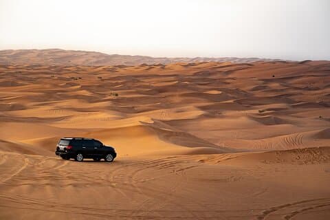 Dubai Desert Safari Camels with Dune Bashing and BBQ Dinner