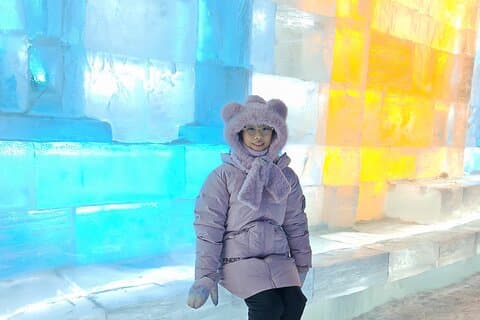 Biglietto d'ingresso VIP per Harbin Ice and Snow World Private Day Tour