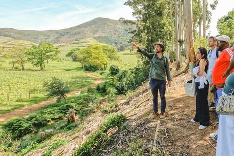 Visite du vin et des contes de Constantia avec déjeuner du Cap