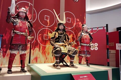 Wakayama: Sanada Yukimura, Samurai Hero Private Guided Tour