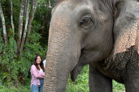 Army Jeep Jungle Safari and Elephant Freedom Rescue Centre Tour