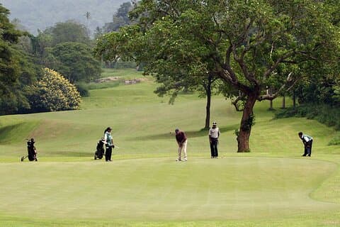 11 dagers privat golftur i Sri Lanka