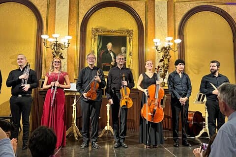 Privétour klassieke muziek in Wenen : museumtoegang & concert