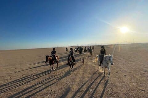 2 - Paseo a caballo de una hora y Hammam turco con traslado – Hurghada