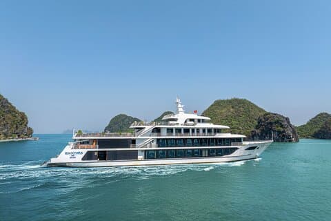 Sea Octopus Cruise - Den bedste luksusdagstur i Halong Bay