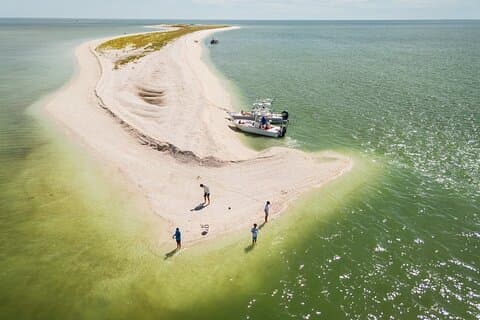 Privat 4-timers skyting, fiske og økotur Marco Island FL