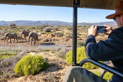 3 Day Big Five & Cheetah Run Safari – Inverdoorn