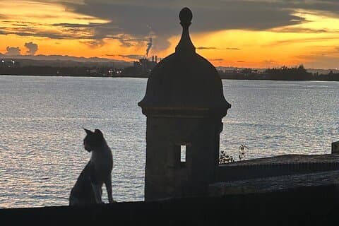 Signs and Wonders in Old San Juan History Culture and Mysteries