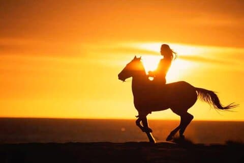 Explore Agadir on Horseback