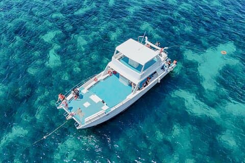 Punta Cana to Isla Catalina Day Tour on Catamaran