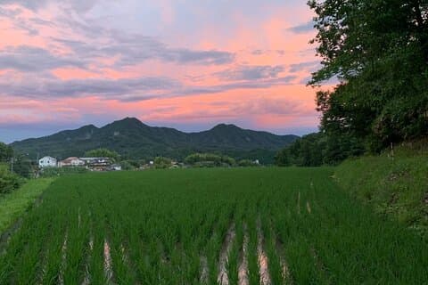 Hiroshima Forest Kyudo and Village Life Experience