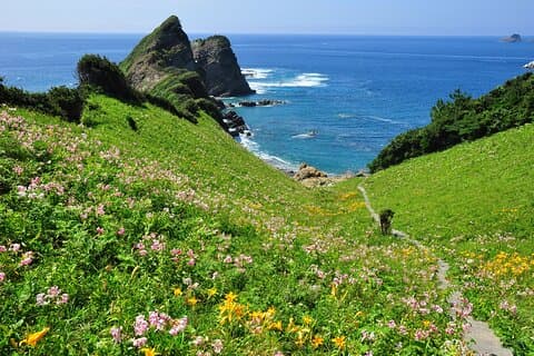 Kagoshima 2 Days Koshiki Island Hotel and Ferry Package