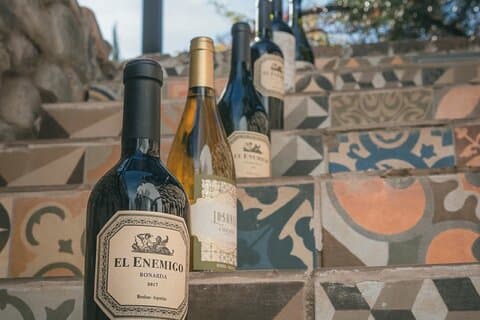 Excursão ao sol em El Enemigo Winery