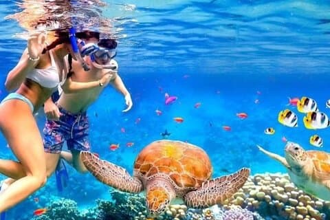 Tour Bali Blue Lagoon Snorkeling and East Bali Adventure