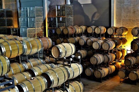 Halvdags vin- og olivenolieoplevelse i Mendoza
