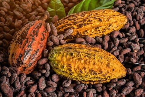 Tour delle barrette da caffè St Lucia a tazza e da chicco di cacao a cioccolato